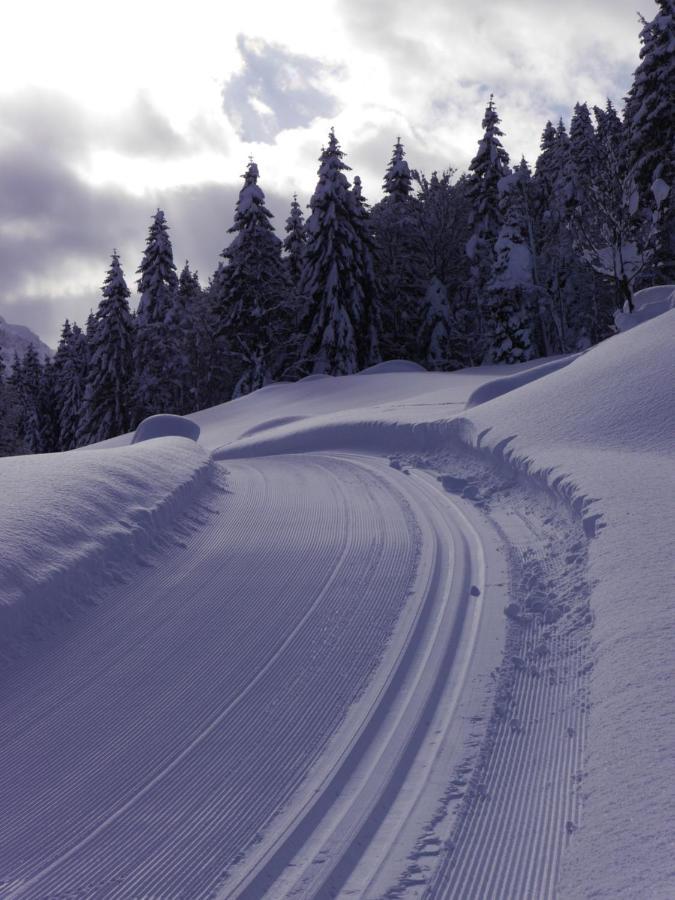 Oberauhof Chalet ไคลนาร์ล ภายนอก รูปภาพ
